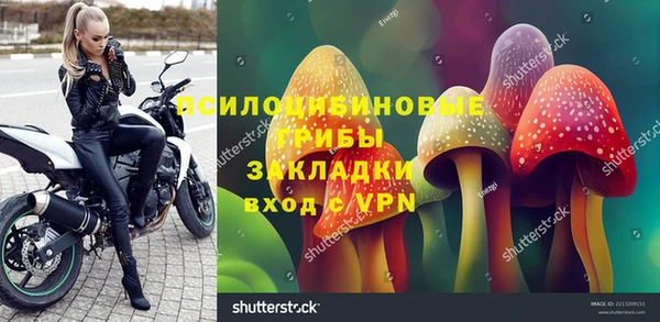 трава Нязепетровск