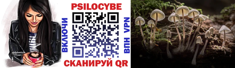 blacksprut сайт Аткарск Галлюциногенные грибы Magic Shrooms купить цена